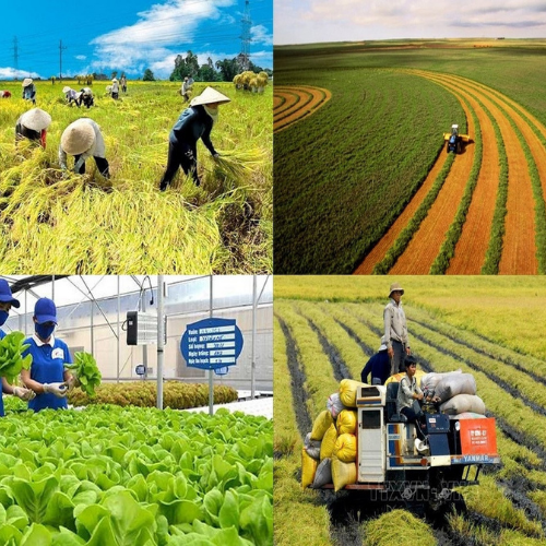 Home agriculture